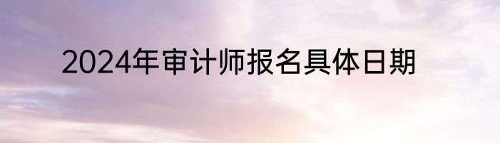 2024年审计师报名具体日期