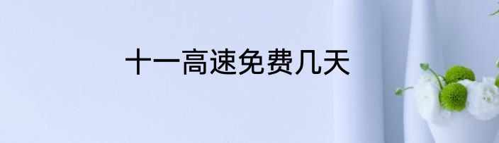 十一高速免费几天