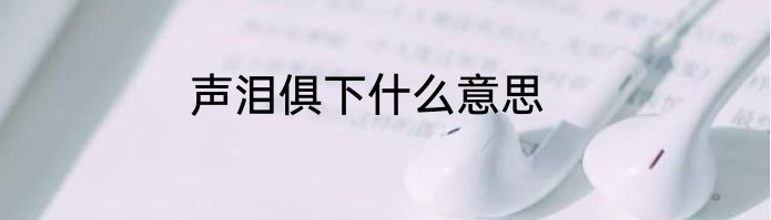 声泪俱下什么意思