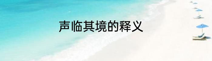 声临其境的释义
