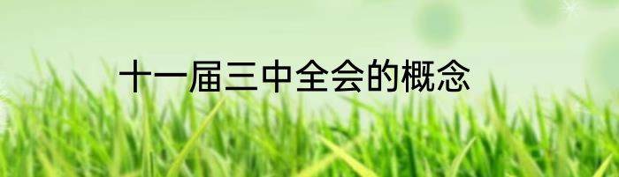 十一届三中全会的概念
