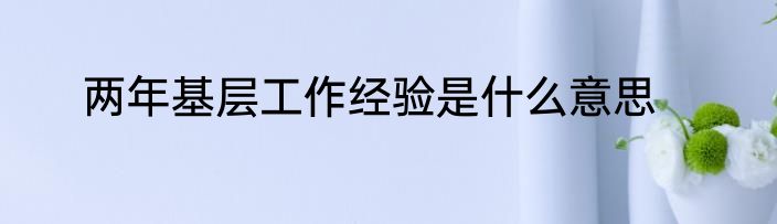两年基层工作经验是什么意思