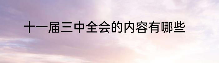 十一届三中全会的内容有哪些