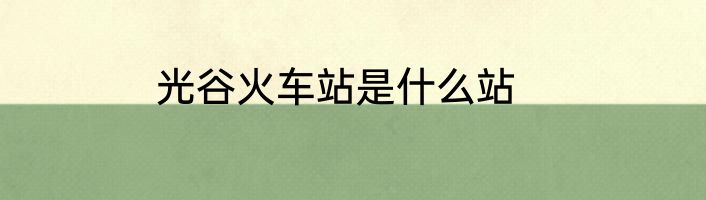 光谷火车站是什么站