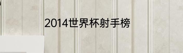 2014世界杯射手榜