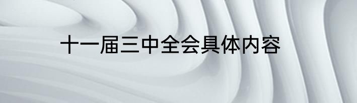 十一届三中全会具体内容