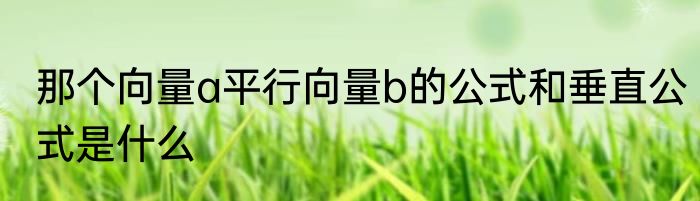 那个向量a平行向量b的公式和垂直公式是什么
