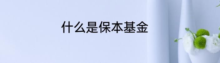什么是保本基金