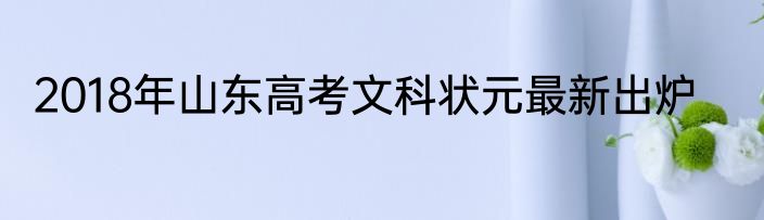 2018年山东高考文科状元最新出炉