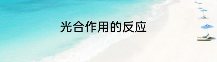 光合作用的反应