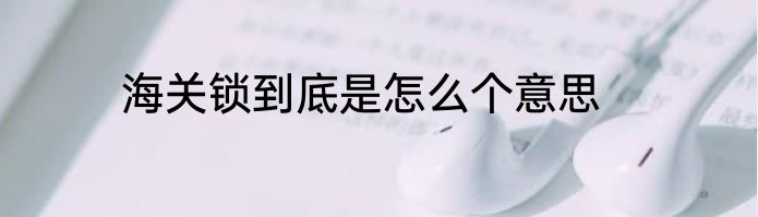 海关锁到底是怎么个意思