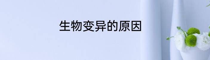 生物变异的原因
