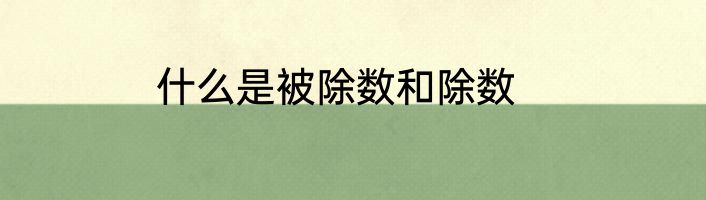 什么是被除数和除数