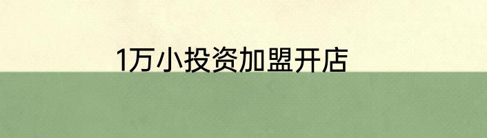 1万小投资加盟开店