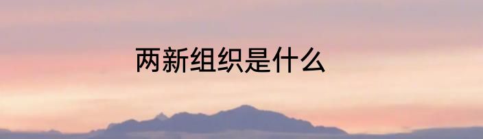 两新组织是什么
