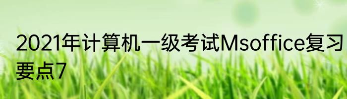 2021年计算机一级考试Msoffice复习要点7