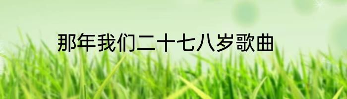 那年我们二十七八岁歌曲