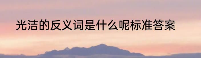光洁的反义词是什么呢标准答案