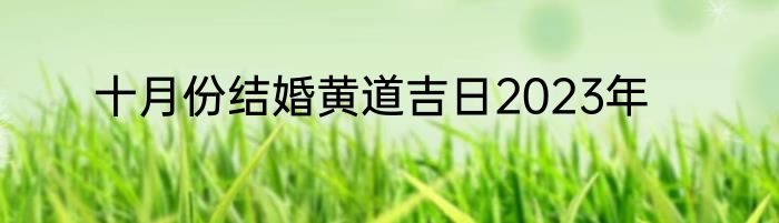 十月份结婚黄道吉日2023年