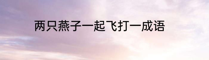 两只燕子一起飞打一成语