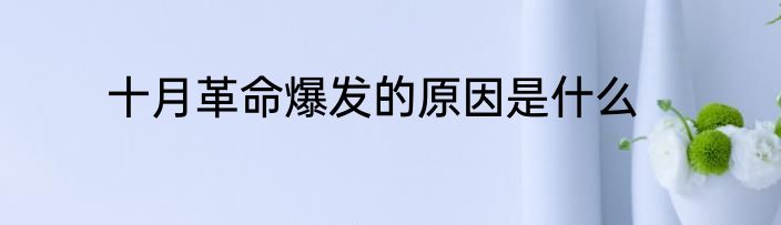 十月革命爆发的原因是什么