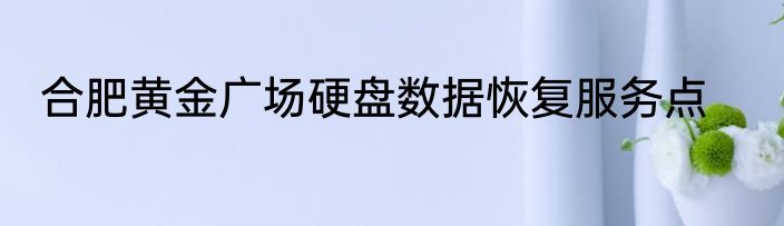 合肥黄金广场硬盘数据恢复服务点
