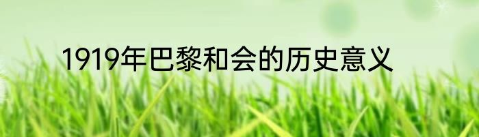 1919年巴黎和会的历史意义
