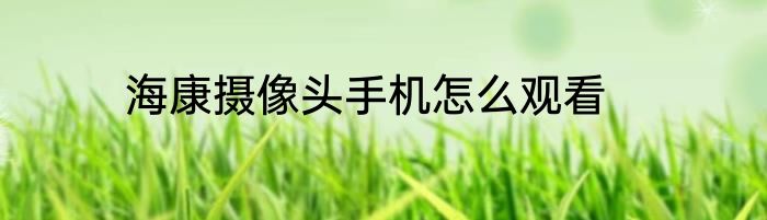 海康摄像头手机怎么观看