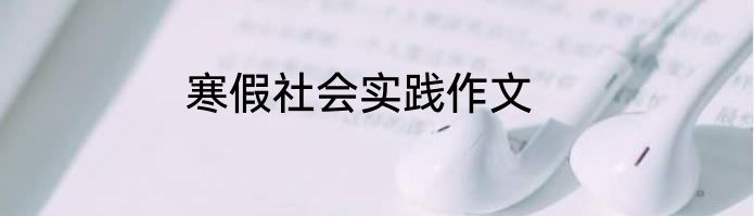 寒假社会实践作文