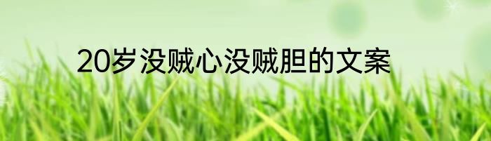 20岁没贼心没贼胆的文案