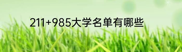 211+985大学名单有哪些