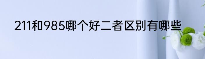 211和985哪个好二者区别有哪些