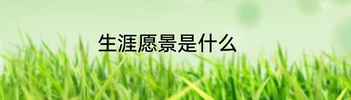 生涯愿景是什么