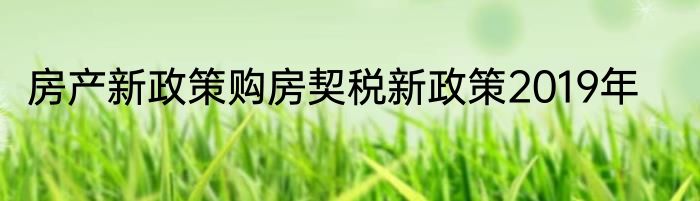 房产新政策购房契税新政策2019年