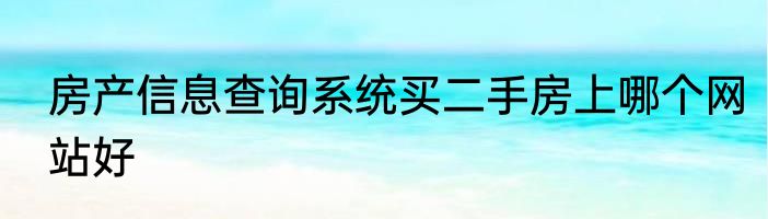 房产信息查询系统买二手房上哪个网站好