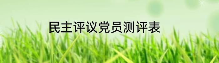 民主评议党员测评表