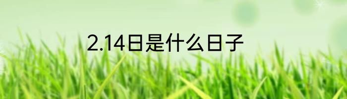 2.14日是什么日子
