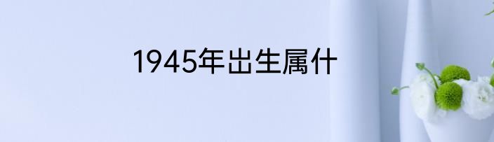 1945年岀生属什