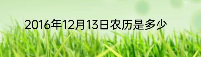 2016年12月13日农历是多少