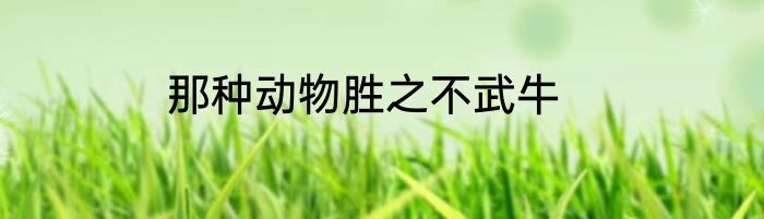那种动物胜之不武牛