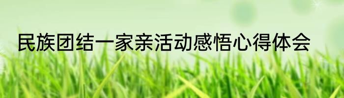 民族团结一家亲活动感悟心得体会