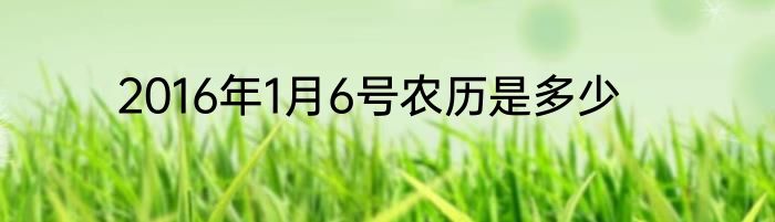 2016年1月6号农历是多少
