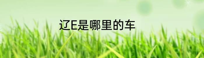 辽E是哪里的车