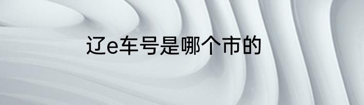 辽e车号是哪个市的