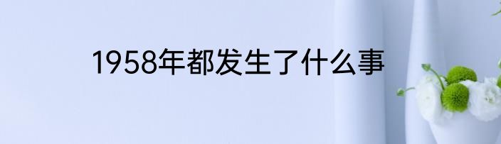 1958年都发生了什么事