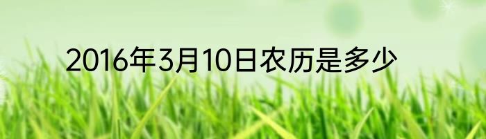 2016年3月10日农历是多少