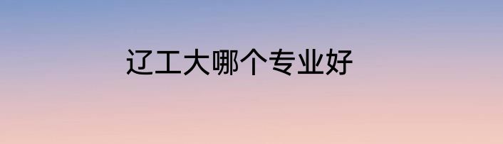辽工大哪个专业好