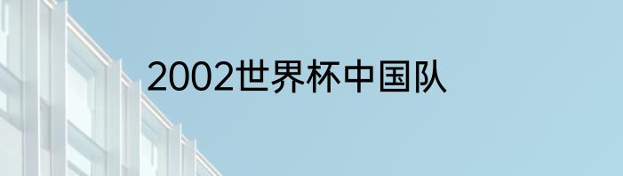 2002世界杯中国队