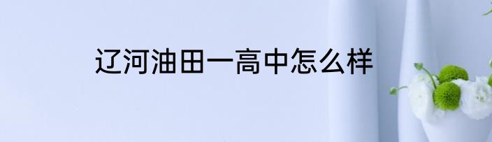 辽河油田一高中怎么样