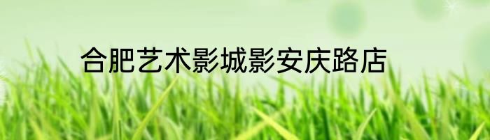 合肥艺术影城影安庆路店
